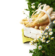 White Asparagus in Basket