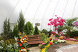 Foto: wedding decoration wedding decoration