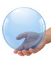 Glaskugel 12