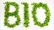 Video: Bio - Salat Bio - Salat