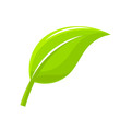 Green Leaf