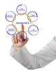 Photo: Woman presenting insurance diagram Woman presenting insurance diagram