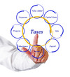 Diagram of taxes