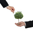 Investment to agriculture