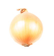 onions isolated on white background