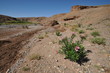 Vallée des Roses Maroc Atlas Berbère