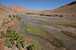 Vallée des Roses Maroc Atlas Berbère