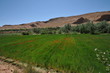 Vallée des Roses Maroc Atlas Berbère