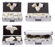 The metal case with dollars and euros