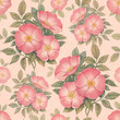 Watercolor dogrose illustration. Seamless pattern
