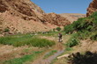 vallée des Roses Haut Atlas Maroc pays Berbère
