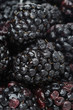 Fresh blackberry background, vertical, selective focus