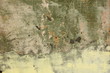 Grunge home background
