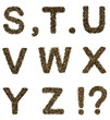 The alphabet from green tea with herbs