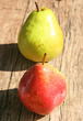 fruits