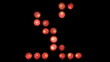 LED Light Display
