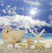 Gute Reise: Sommerurlaub in der Karibik