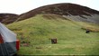 teenagers having fun in wanlockhead scotland