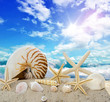 Auszeit: Sommerurlaub in der Karibik