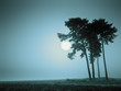 Photo: blue mood blue mood