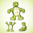 R&R Turtle