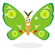 farfalla vector