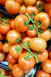 Foto: Fresh tomatoes in boxes Fresh tomatoes in boxes