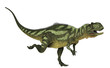 Illustration: Yangchuanosaurus running side view Yangchuanosaurus running side view