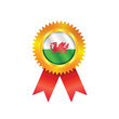 Wales medal flag