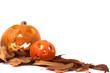 halloween pumpkins