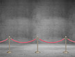 stanchions barrier