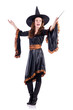 Witch isolated on the white background