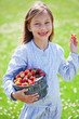 Foto: Child eating strawberries in a field Child eating strawberries in a field