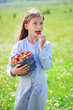 Foto: Child eating strawberries in a field Child eating strawberries in a field