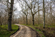 Winding dirt road