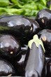 Aubergine