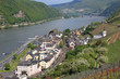 Assmannshausen - Frühling 2013
