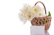 white tulips in a basket