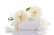 canvas print picture - white tulips with a blank