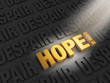 Finding Hope In Despair
