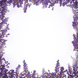 Vektor: Vector Illustration of a Lavender Background Vector Illustration of a Lavender Background
