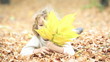 Happy child playing outdoors in autumn park. Slow motion