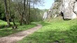 spring in valley