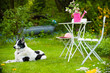 Photo: Gartenidylle Gartenidylle