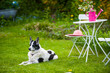 Photo: Gartenidylle Gartenidylle