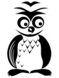 Owl in black