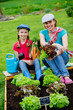 Gardening, vegetables - girl helping mother in the garden