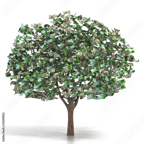 Illustration: Money growing on a tree Money growing on a tree