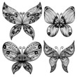 Set of four black butterfly silhouettes over white background