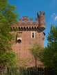 Medieval Castle Turin